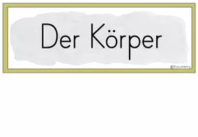 Vorschau - Poster - Tafelmaterial: Körper Schmetterling (Bildkarten) - Seite 2