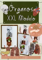 Vista previa - Manualidades / Dibujos para colorear - órganos XXL modelo de abanico – Disposición de los órganos - Portada