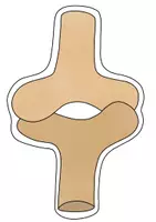 Vista previa - Unidades / Secuencias / Situaciones de Aprendizaje - articulaciones unidad didáctica - material de pizarra, hojas de trabajo, ensayos, mapas de imágenes - página 2