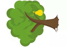 Vista previa - Juegos / Gamificación - JUEGO COOPERATIVO: RECOLECTAMOS LAS FRUTAS - página 3