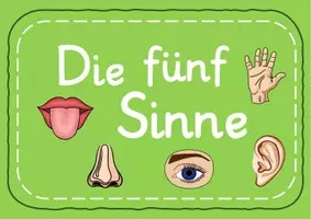 Vorschau - Bildkarten - Die fünf Sinne: Flashcards und Cliparts - Seite 3