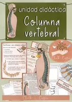 Vista previa - Unidades / Secuencias / Situaciones de Aprendizaje - Columna vertebral unidad didáctica - Hojas de trabajo, ensayos, material de pizarra, mapas de imágenes - Portada
