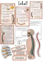 Vista previa - Unidades / Secuencias / Situaciones de Aprendizaje - Columna vertebral unidad didáctica - Hojas de trabajo, ensayos, material de pizarra, mapas de imágenes - página 1
