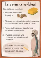 Vista previa - Unidades / Secuencias / Situaciones de Aprendizaje - Columna vertebral unidad didáctica - Hojas de trabajo, ensayos, material de pizarra, mapas de imágenes - página 3