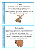 Vorschau - Bildkarten - Abschreibkartei Wald- und Wiesentiere - Seite 2