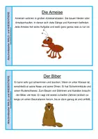 Vorschau - Bildkarten - Abschreibkartei Wald- und Wiesentiere - Seite 3