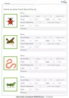 Vorschau - Arbeitsblätter - Insekten und andere kleine Tierchen - Seite 1