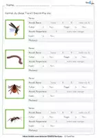 Vorschau - Arbeitsblätter - Insekten und andere kleine Tierchen - Seite 2
