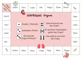Vorschau - Spiele - Würfelspiel - Sachunterricht - Organe - Seite 1