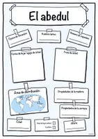 Vista previa - Hojas de trabajo - Ficha de abedul (Árbol/árboles) - página 1