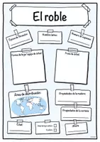 Vista previa - Hojas de trabajo - Ficha de roble (Árbol/árboles) - página 1