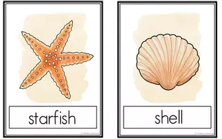Vorschau - Bildkarten - At The Seaside - Picture & Word Cards (Summer) - Seite 3