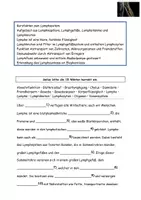 Vorschau - Stundenentwürfe - Das Lymphsystem Texte Aufgaben Lösungen - Seite 2