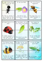 Vorschau - Spiele - Lesespiel - Insekten im Garten (ab 2. Klasse) - Seite 1