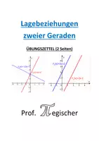 Vorschau - Arbeitsblätter - Übungszettel: Lineare Gleichungssysteme - Lagebeziehungen (mit Lösungen) - Deckblatt