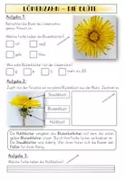 Vorschau - Arbeitsblätter - Löwenzahn Forscherblätter - Seite 3