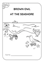 Vorschau - Arbeitsblätter - Brown Owl at the Seashore - WORKBOOK / WORKSHEETS - Seite 1