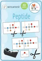 Vorschau - Spiele - Peptide - Bastelaktivität - Deckblatt