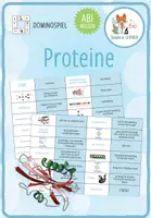 Vorschau - Spiele - Proteine und Proteinstruktur - Domino Spiel (Abitur) - Deckblatt
