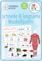 Vorschau - Spiele - Schnelle und Langsame Muskelfasern - Zuordnungsaktivität (Abitur) - Deckblatt