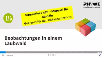 Vorschau - Experimente - Beobachtungen in einem Laubwald - Selbstlerneinheit H5P - Seite 1