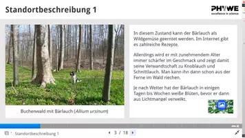Vorschau - Experimente - Beobachtungen in einem Laubwald - Selbstlerneinheit H5P - Seite 2