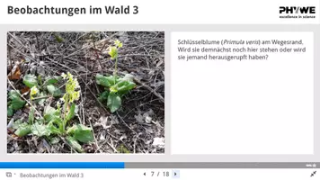 Vorschau - Experimente - Beobachtungen in einem Laubwald - Selbstlerneinheit H5P - Seite 3