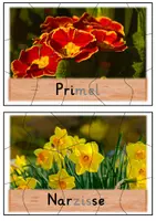 Vorschau - Spiele - Frühblüher Puzzle - Seite 1