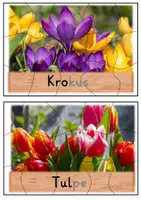 Vorschau - Spiele - Frühblüher Puzzle - Seite 2