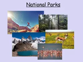 Vorschau - Unterrichtsreihen - Information Gap - National Parks - Seite 2