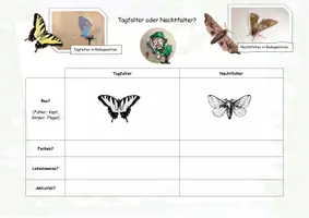 Vorschau - Arbeitsblätter - Tagfalter oder Nachtfalter - Unterschiede erkennen! - Deckblatt