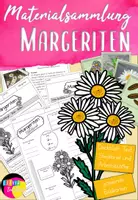 Vorschau - Arbeitsblätter - Margerite Unterrichtsmaterial Sommerblumen - Deckblatt