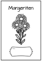 Vorschau - Arbeitsblätter - Margerite Unterrichtsmaterial Sommerblumen - Seite 1