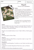 Vorschau - Arbeitsblätter - Margerite Unterrichtsmaterial Sommerblumen - Seite 2