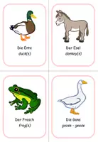 Vorschau - Bildkarten - Ringwörterbuch Englisch Farm animals (Wort-Bild) - Seite 1