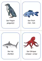 Vorschau - Bildkarten - Ringwörterbuch Englisch Wassertiere (Wort-Bild) - Seite 3