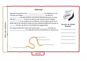Vorschau - Arbeitsblätter - Flipbook zu den wirbellosen Tieren - Seite 3
