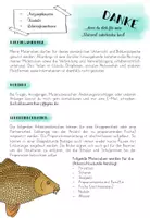 Vorschau - Arbeitsblätter - Fisch - Präparationsanleitung: Am Beispiel eines Karpfens - Seite 1