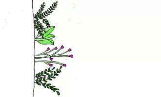 Vorschau - selbst erstellte Cliparts/Grafiken - Stockwerke des Waldes - Seite 2