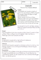Vorschau - Arbeitsblätter - Löwenzahn Unterrichtsmaterial für die Grundschule - Seite 2