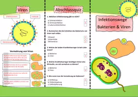 Vorschau - Stundenentwürfe - Flyer - Viren, Bakterien, Infektionswege, Krankheitserreger - Seite 3
