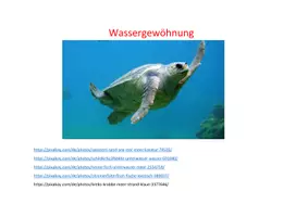 Vorschau - Stundenentwürfe - Stundenbilder Schwimmen - Seite 1