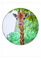 Vorschau - Mal- und Bastelvorlagen - Schulanfang in der Giraffenklasse Wimpel / Girlande - Seite 3