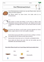 Vorschau - Arbeitsblätter - Pflanzenwachstum und Aufbau: Sachtext, Textverständnis - Seite 1
