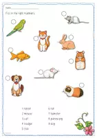 Vorschau - Arbeitsblätter - Arbeitsblattsammlung - 9 Pets - Seite 2