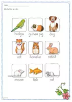 Vorschau - Arbeitsblätter - Arbeitsblattsammlung - 9 Pets - Seite 3