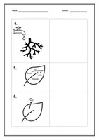 Vorschau - Arbeitsblätter - Aufbau und Funktionsweise von Pflanzen - Seite 2