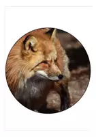 Vorschau - Mal- und Bastelvorlagen - Fuchsklasse Wimpel / Girlande Schulanfang mit dem Klassentier Fuchs - Seite 1