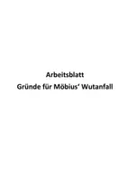 Vorschau - Arbeitsblätter - Die Physiker - Gründe für Möbius' Wutanfall - Deckblatt