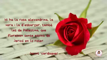 Vista previa - Juegos / Gamificación - PROVA 8. EL POEMA DE LES ROSES DE SANT JORDI - Portada